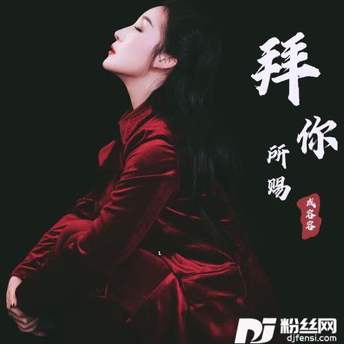 拜你所赐DJ名龙版