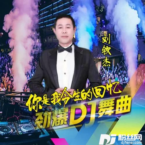 你是我今生的回忆DJ散人版