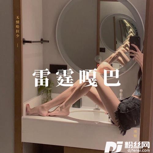 雷霆嘎巴小鸟伏特加的专辑
