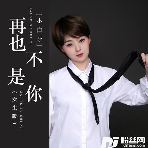 再也不是你的专辑