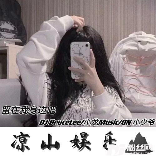 幻昼DJ旋律版