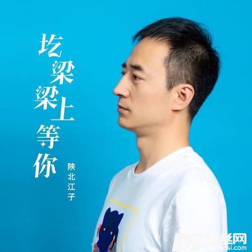 圪梁梁上等你的专辑