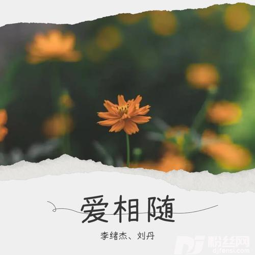爱相随