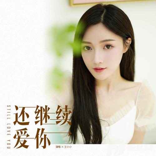 还继续爱你的专辑