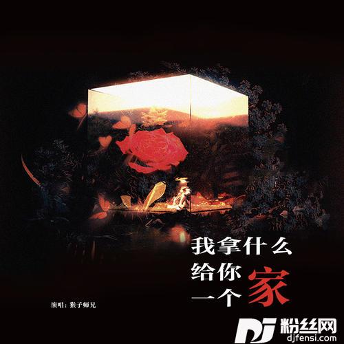 我拿什么给你一个家的专辑