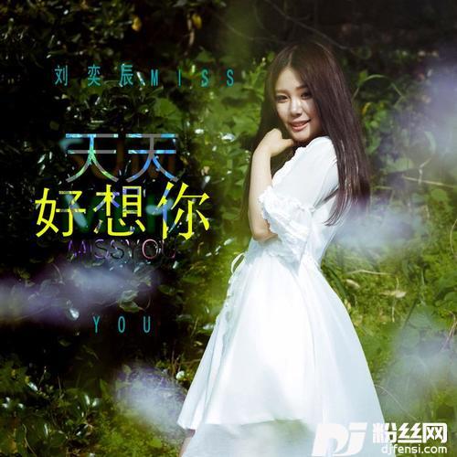 天天好想你的专辑