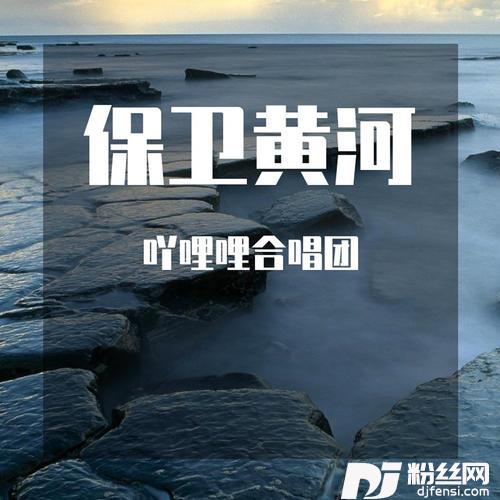 听话要听党的话