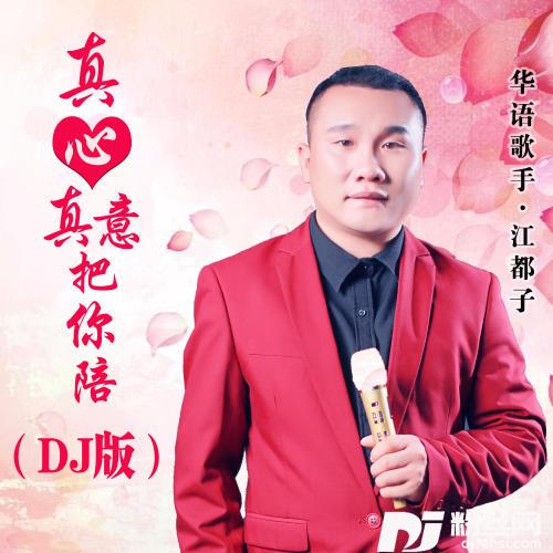 真心真意把你陪DJ版