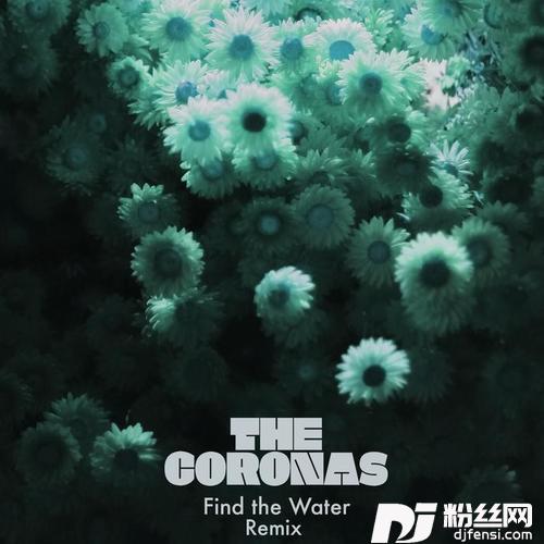 FindTheWaterRicheyMcCourtremix