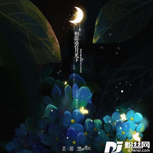 相思还在月光下女声版