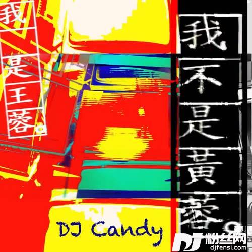 我不是黄蓉DJcandyMix