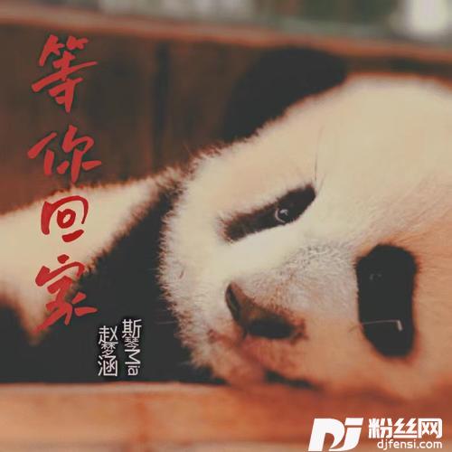 等你回家