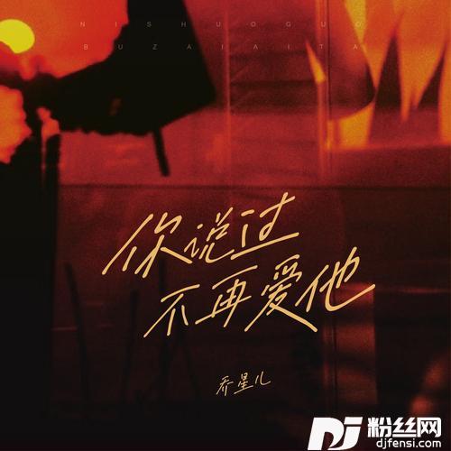 你说过不再爱他（DJ小鑫版）