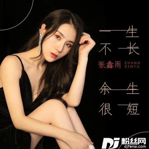 一生不长余生很短DJheap九天版