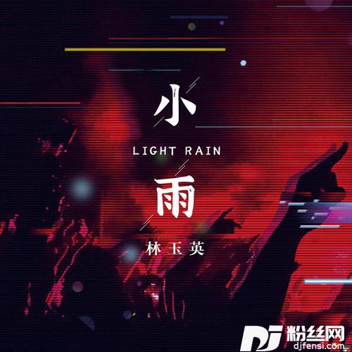 小雨DJ默涵版