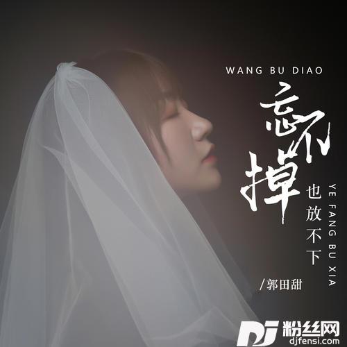 忘不掉也放不下DJ彭锐版的专辑