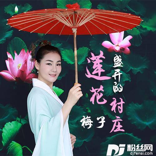 莲花盛开的村庄其他的专辑