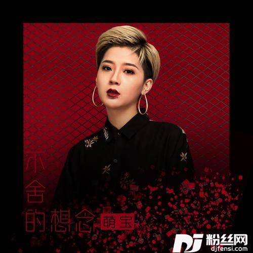 不舍的想念的专辑