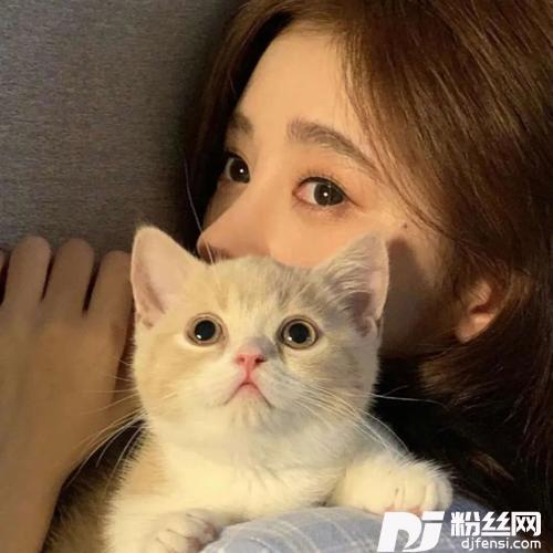 小鸡恰恰舞DJ版的专辑
