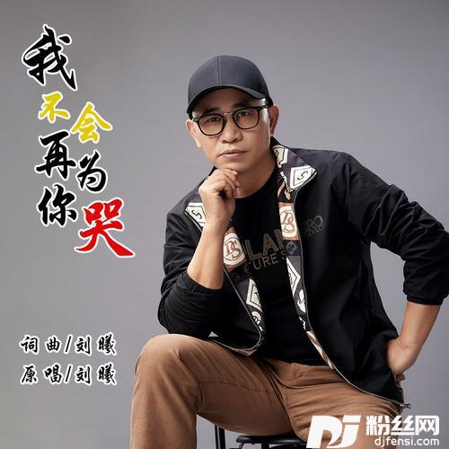 我不会再为你哭的专辑