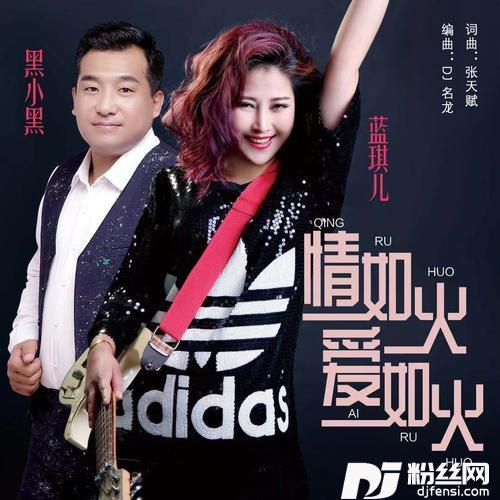 情如火爱如火DJ名龙版