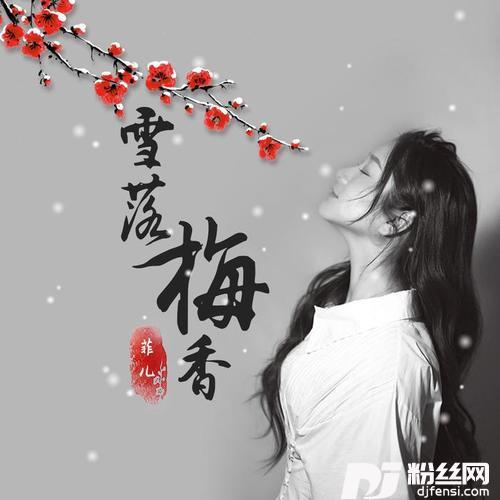 雪落梅香的专辑
