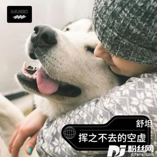 你爱我像谁cover:袁小葳的专辑
