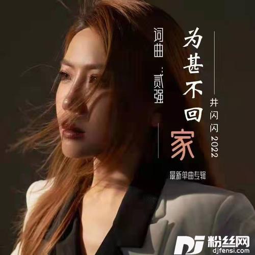 为甚不回家的专辑
