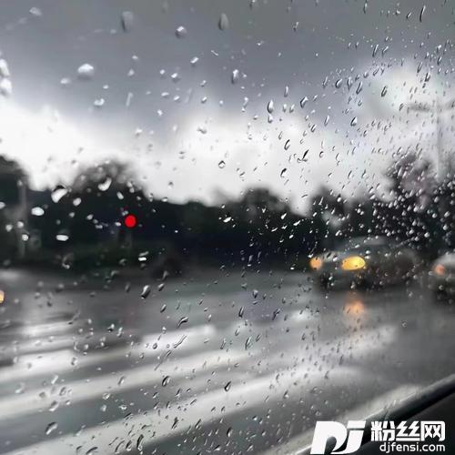 爱我的明媚也接受我的破碎