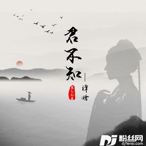 君不知（DJ沈念版）的专辑