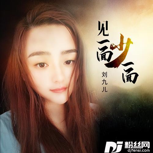 见一面少一面DJ何鹏版