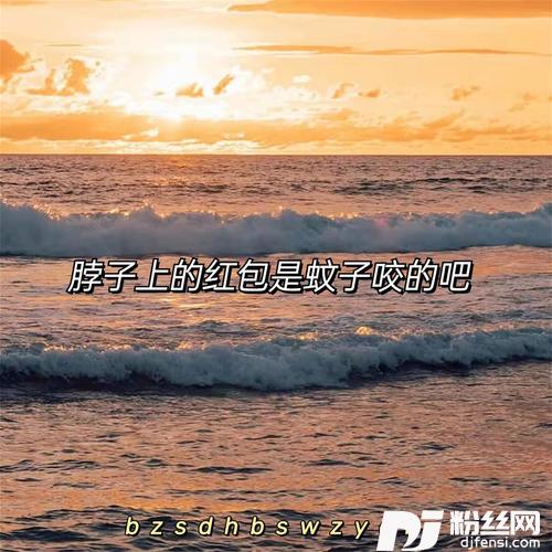 脖子上的红包是蚊子咬的吧DJ完整版