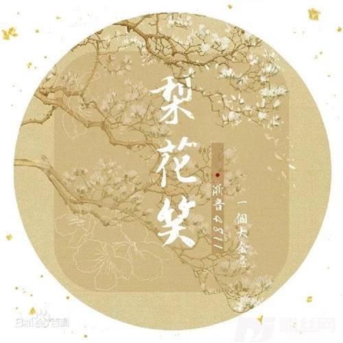 梨花笑cover:浙音4811（一个大金意）