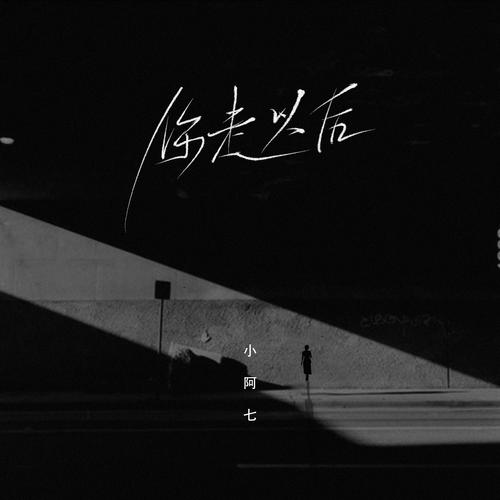 你走以后
