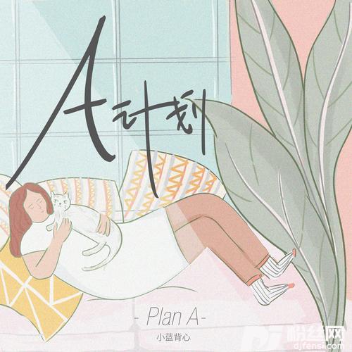 A计划
