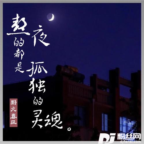 熬夜的都是孤独的灵魂