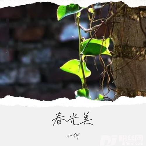春光美cover:丽江康康