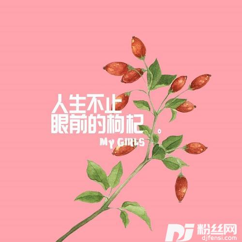 人生不止眼前的枸杞的专辑