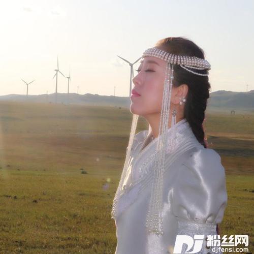 你是我的草原的专辑