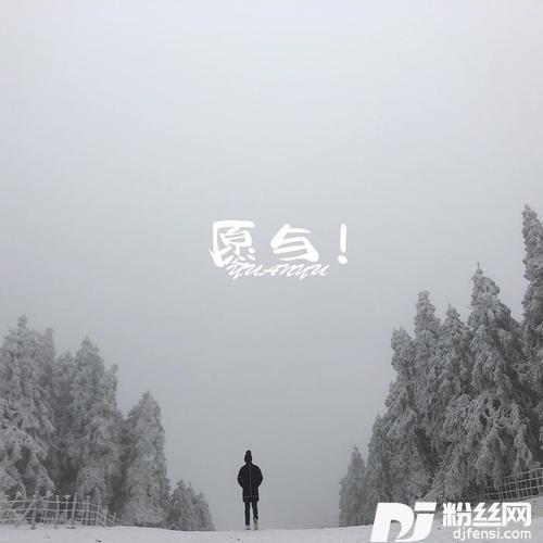 愿与的专辑