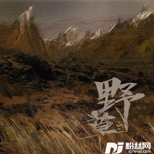 野草的专辑