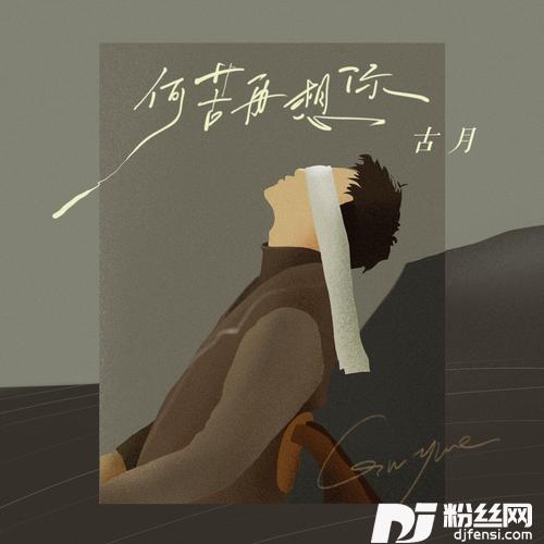 何苦再想你