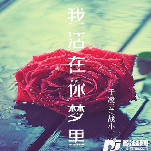 我活在你梦里