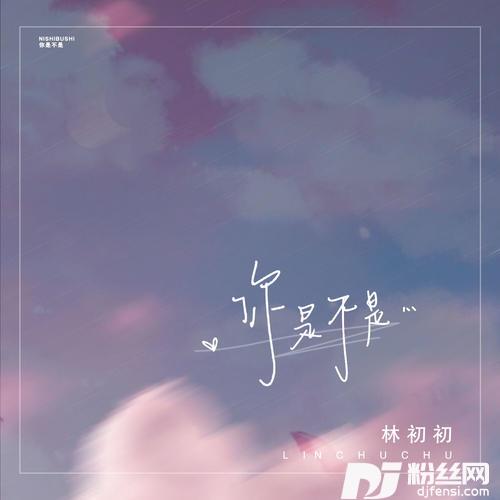 你是不是DJ版