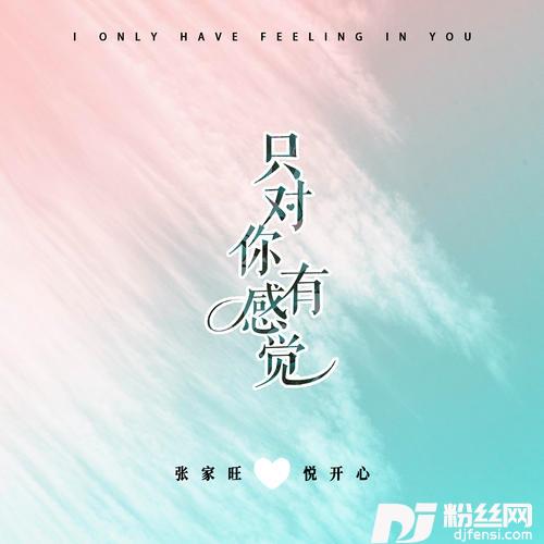 只对你有感觉DJ桃子版