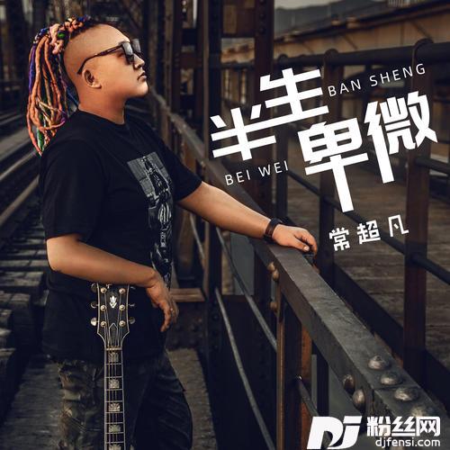 半生卑微DJBanan版