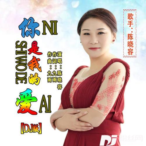 你是我的爱DJ版