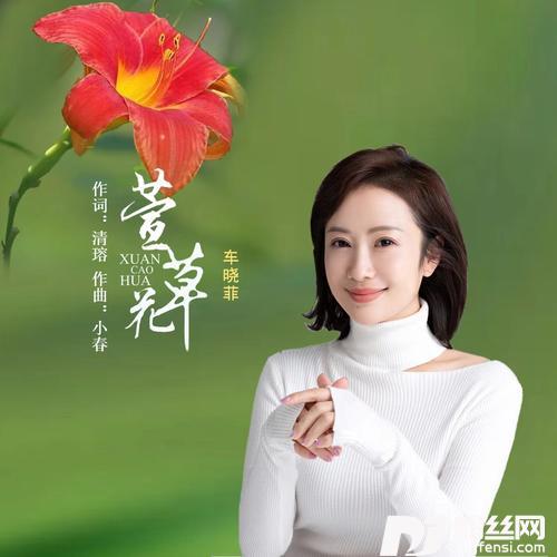 萱草花