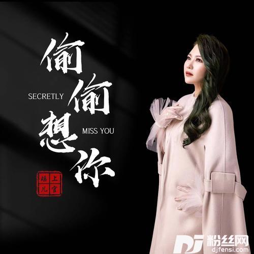 偷偷想你DJ沈念版