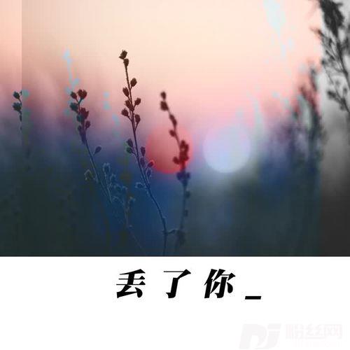 丢了你（完整版）的专辑
